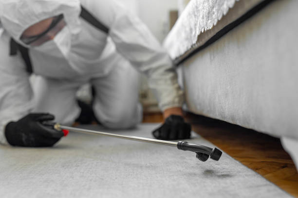 Professional Bed Bug Control technician working in Kansas City, MO