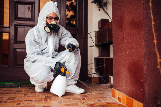 Reliable Bed Bug Control contractor in Kansas City, MO by Nex Pest Control