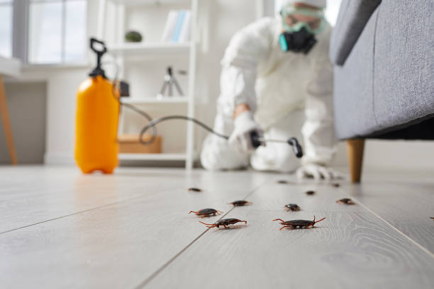 Trusted Fumigation Services service in Kansas City, MO - Nex Pest Control