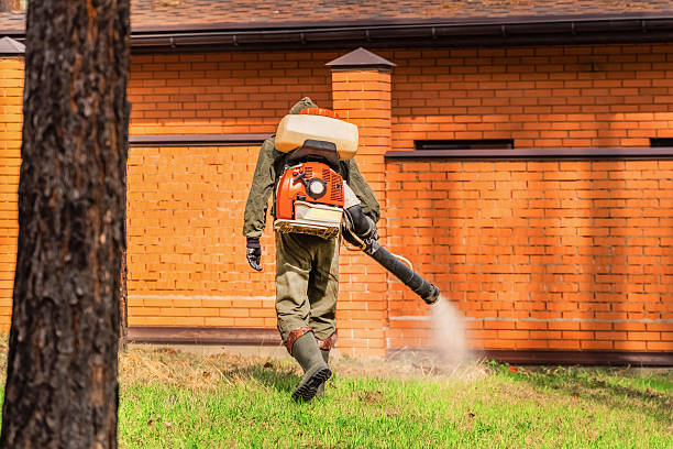 Trusted Bed Bug Control service in Kansas City, MO - Nex Pest Control